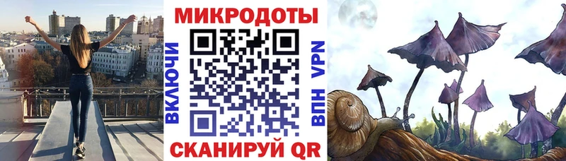 наркота  Починок  mega   Псилоцибиновые грибы Cubensis 